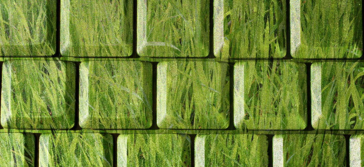 Grassy keyboard (Illustration: Colourbox) Grassy keyboard